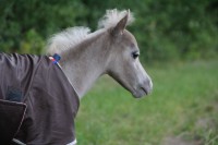 /album/fotogalerie/img-0830-jpg/
