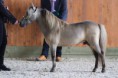/album/fotogalerie-nasich-koni/img-5192-jpg/